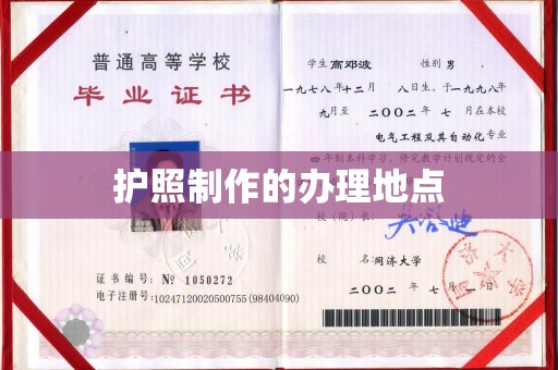 平舆护照制作的办理地点